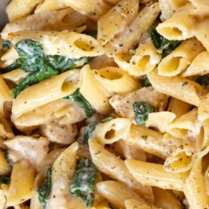 a close up shot of penne, chicken and spinach pasta