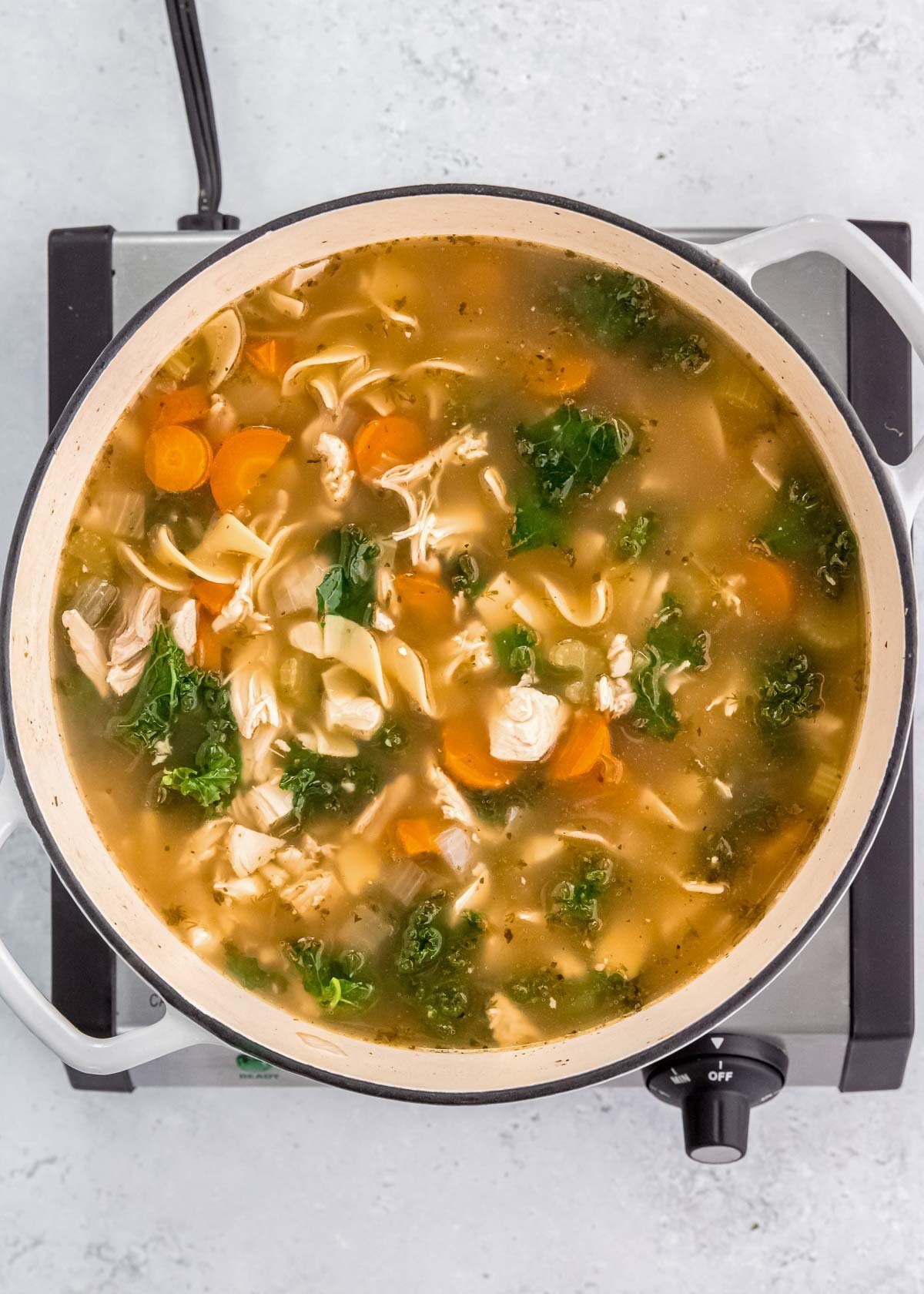 a large pot of chicken, egg noodles, and vegetable soup