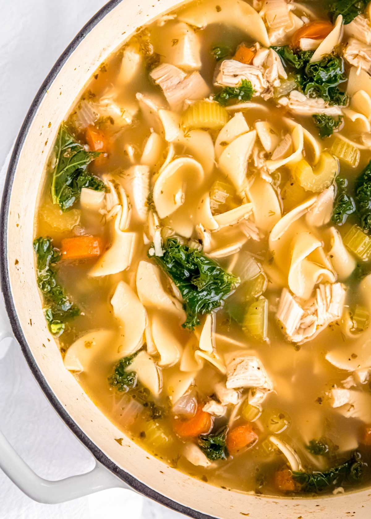 closeup view of simple chicken noodle soup with kale, egg noodles, and rotisserie chicken