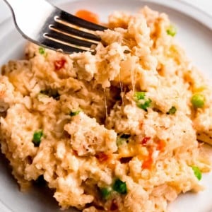 a forkful of creamy chicken and rice with melty cheese