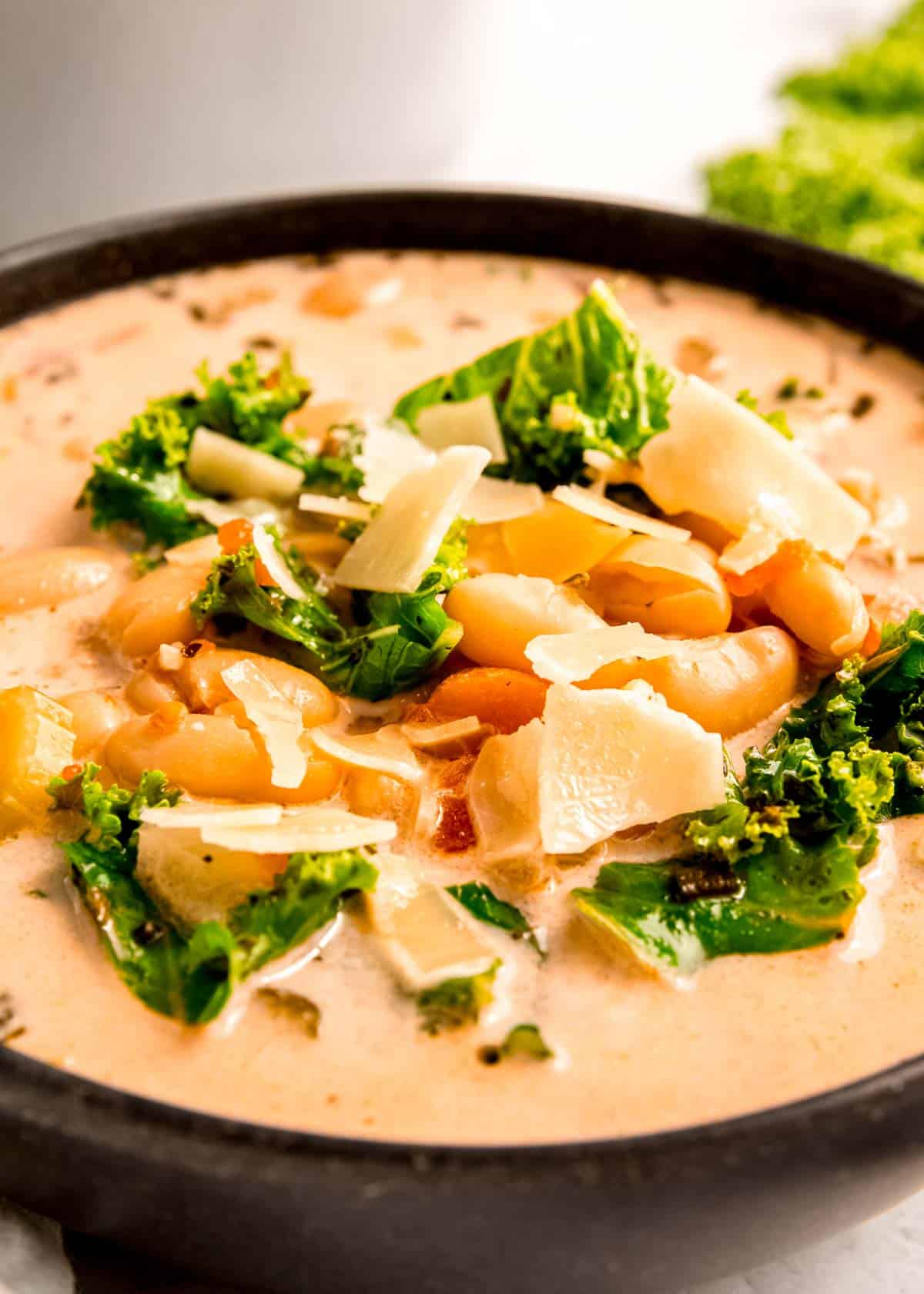 closeup view of creamy white bean soup with Italian seasonings and healthy vegetables