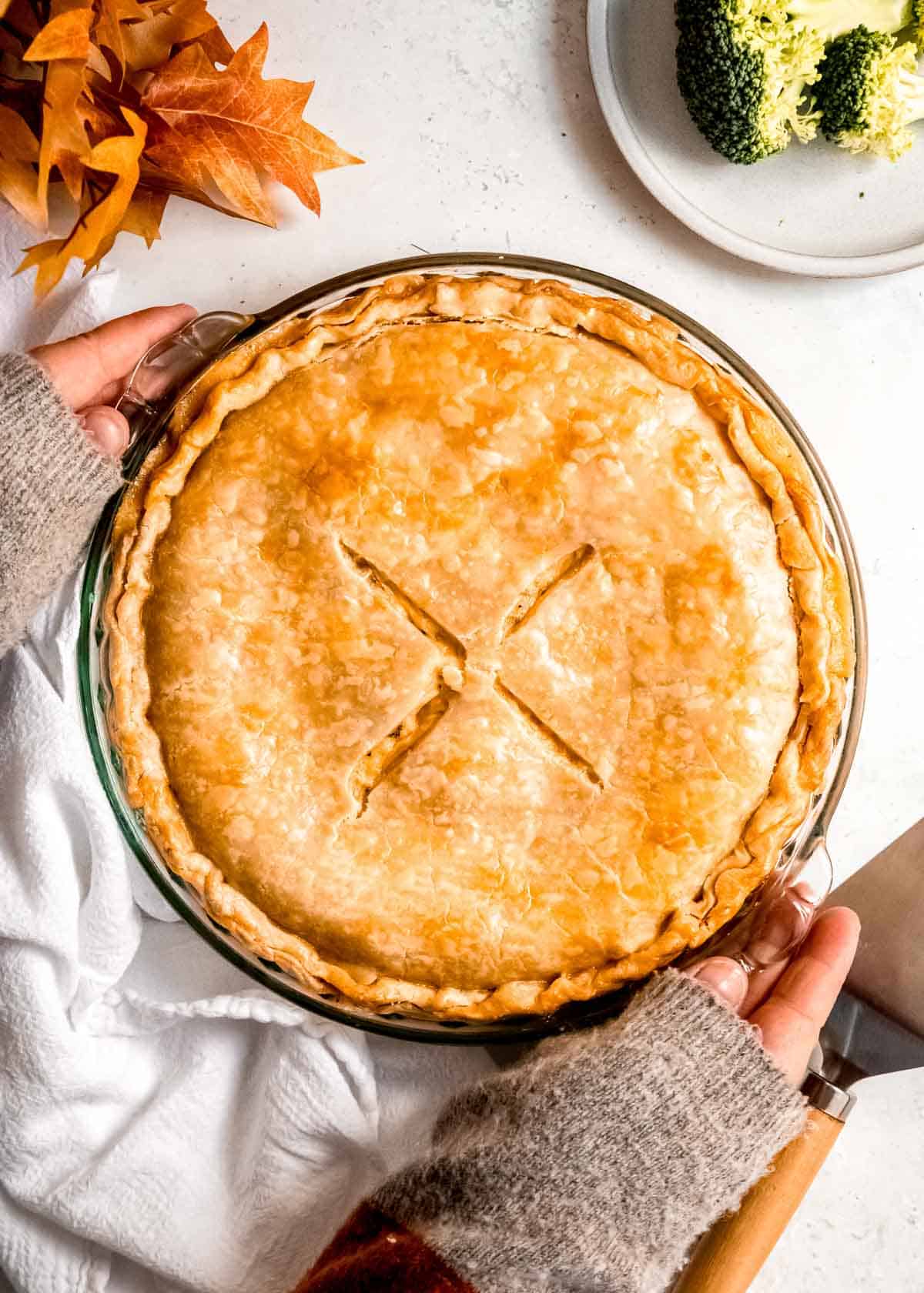 a perfectly golden brown broccoli cheddar chicken pot pie being set on a white table