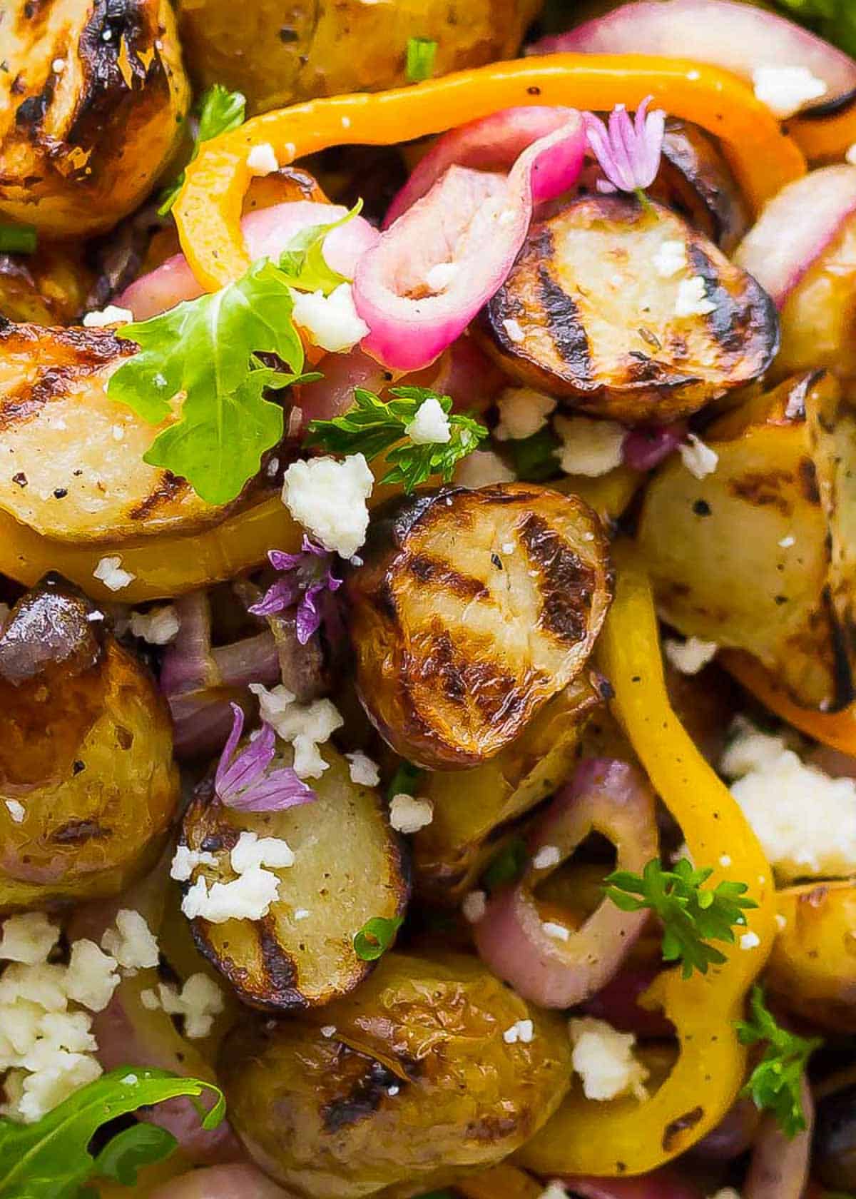 closeup view of a grilled vegetable salad with parsley and feta