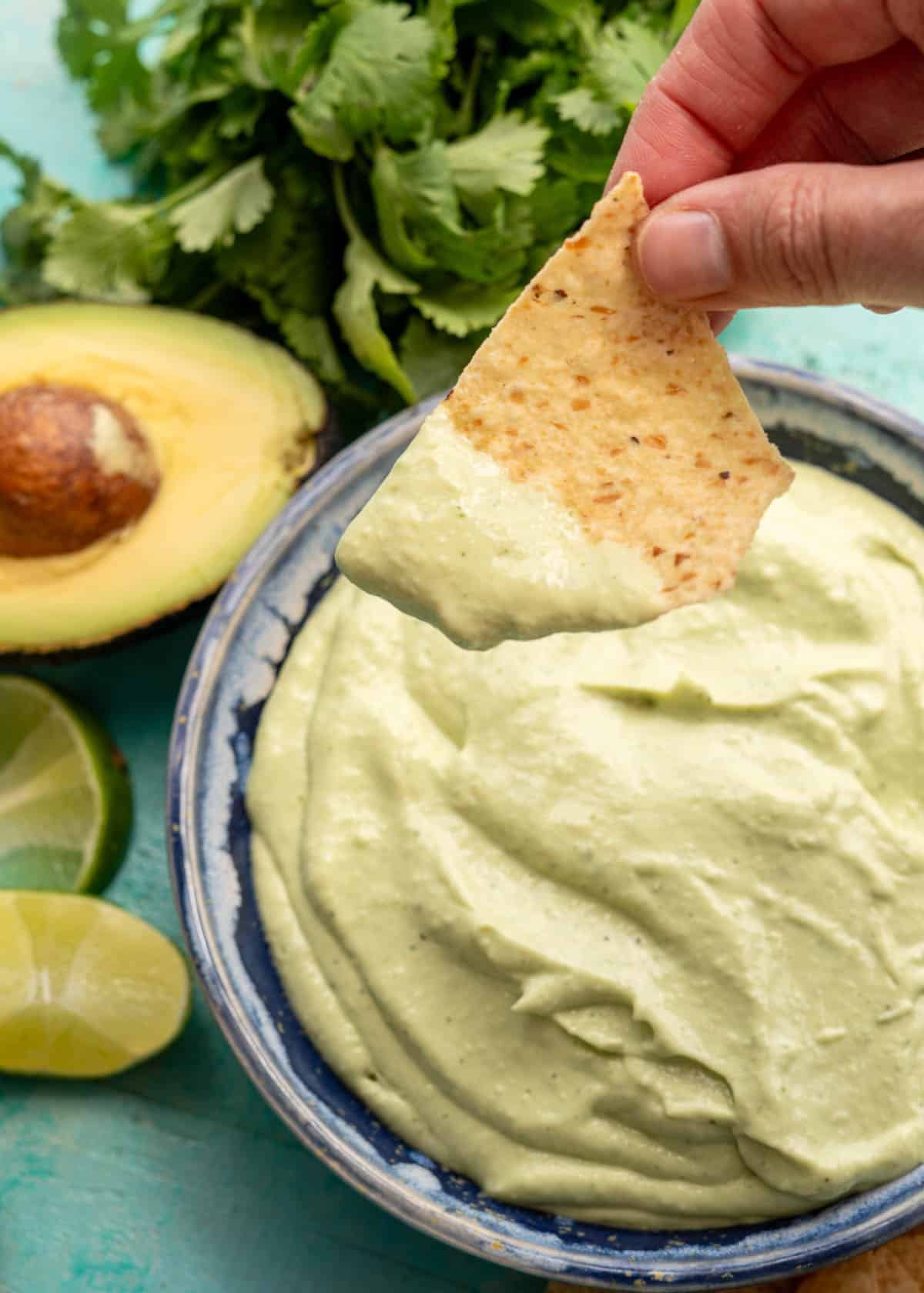closeup of a chip dipped into avocado crema with cilantro and lime